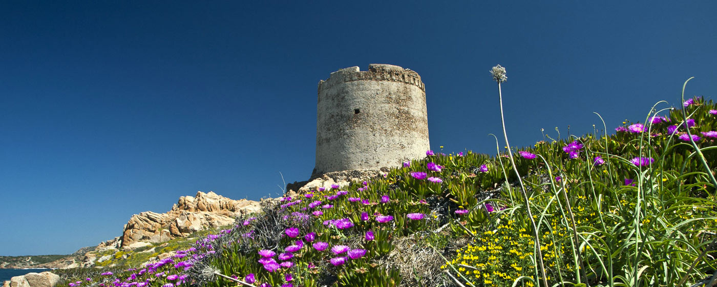 la torre spagnola di Isola Rossa di primavera, il prato fiorito