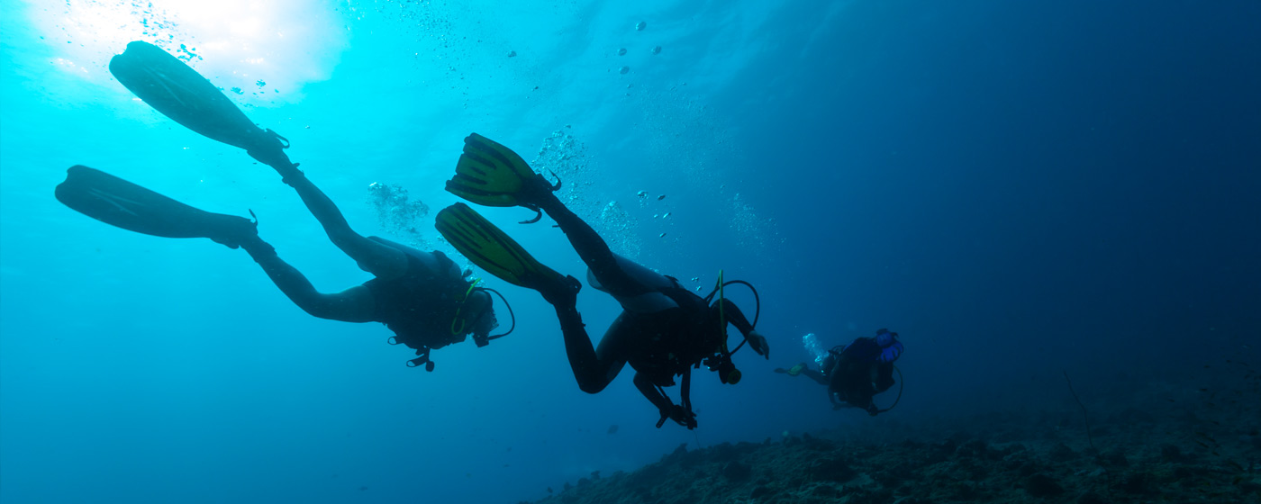 Scuba dives under water
